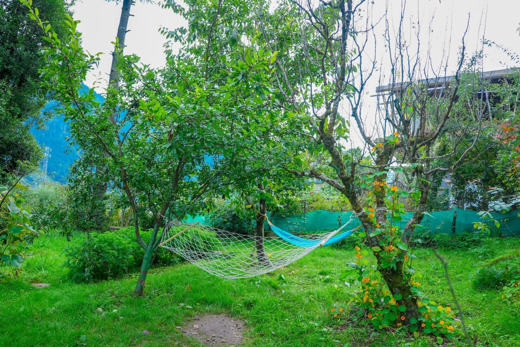 Nature Valley View Resort Manali 2 Bedrooms Luxury Cottages And Valley View מראה חיצוני תמונה